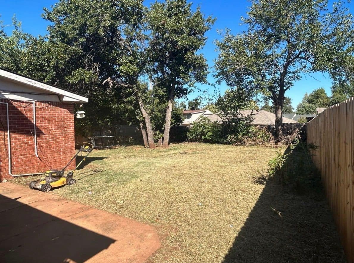 Mowed backyard with a lawn mower.